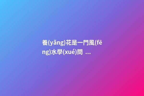 養(yǎng)花是一門風(fēng)水學(xué)問，養(yǎng)不同的花會(huì)帶來不同的運(yùn)氣